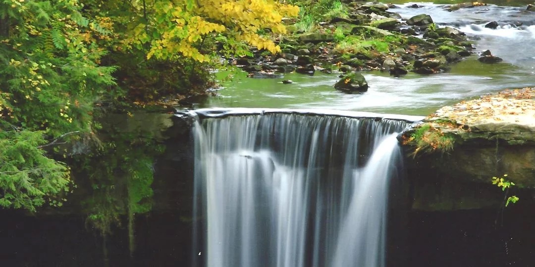 Environmental Education