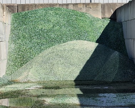 Bin of ground up glass